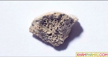 Mảnh xương hơn 10.000 năm tuổi tiết lộ bí ẩn sốc
