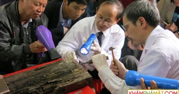 Tìm thấy ngôi mộ của Trạng Trình Nguyễn Bỉnh Khiêm?