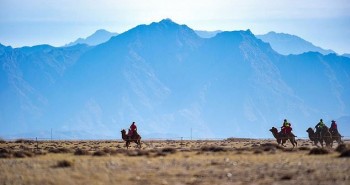 17 tỉnh Mông Cổ cảnh báo “cái chết đen”, Trung Quốc sợ dịch chồng dịch