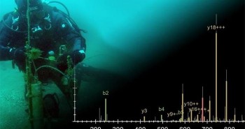 Tia cực tím giúp sinh vật biển xác định thời gian trong năm