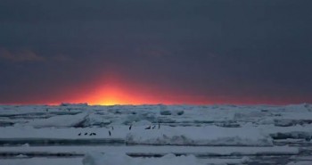 Phát hiện mới về người đầu tiên tìm ra Nam Cực