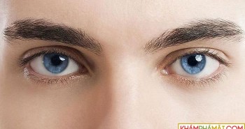 Nghiên cứu mới cho thấy, người mắt xanh có một tổ tiên chung duy nhất