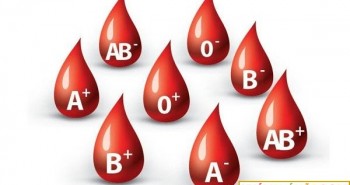 Xác định huyết thống theo nhóm máu