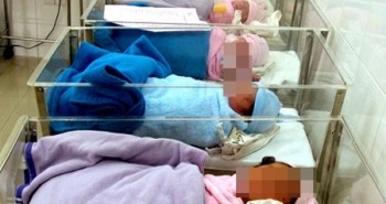 Những vụ mang thai giả 'chấn động' ở Việt Nam và loạt tình tiết như phim