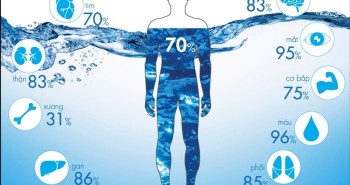 Thành phần nước trong cơ thể con người là như thế nào?