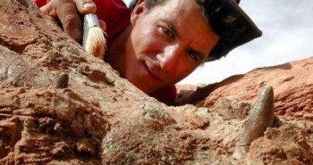 Siêu quái vật 12m chuyên ăn thịt khủng long "hiện hình" ở Sahara