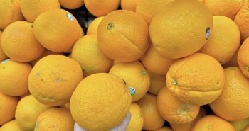 Dùng vitamin C thế nào không hại thận?