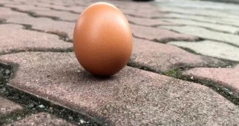 Thực hư hiện tượng quả trứng dựng đứng đầy vi diệu trong ngày diễn ra nhật thực