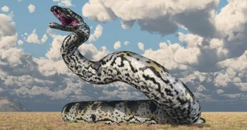 Huyền thoại loài rắn quái vật từng thống trị Colombia thời tiền sử