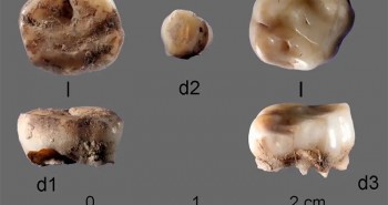 Phát hiện người thời kỷ băng hà ở Siberia thông qua răng sữa