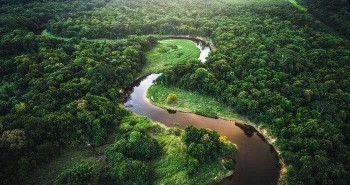 Các nhà khảo cổ tìm thấy một nền văn minh cổ đại dưới tán rừng Amazon