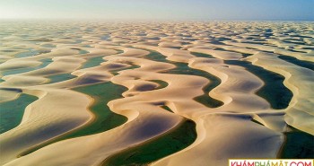 Sa mạc "dị nhất thế giới": Cồn cát vàng thì chẳng thấy đâu mà chỉ thấy hồ nước với tôm cá