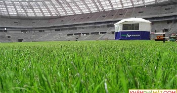 Đây là lí do chung kết World Cup 2018 sẽ sử dụng sân cỏ "lai"