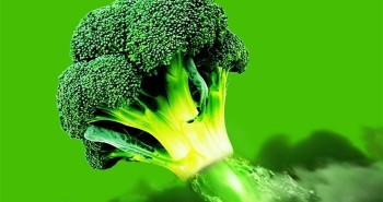 Một loại siêu bông cải xanh được trồng thử nghiệm tại Anh