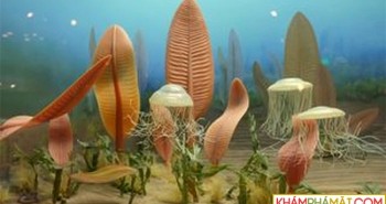 Do đâu sự sống trên Trái đất đột nhiên tiến hóa vào 600 triệu năm trước?