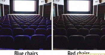 9 sự thật về rạp chiếu phim mà nếu không phải người trong ngành thì chẳng ai biết được