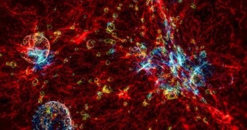 Chúng ta là các tế bào thần kinh của vũ trụ: Một lý thuyết sáng tạo tiết lộ những bí ẩn của vũ trụ và bộ não