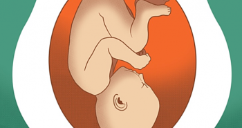 Ý nghĩa các vị trí nằm trong bụng mẹ của thai nhi