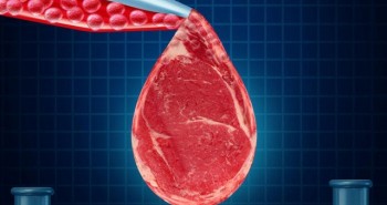 Quốc gia đầu tiên trên thế giới cấm thịt nhân tạo