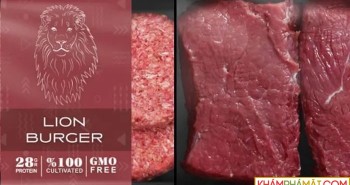 Trung Quốc nghiên cứu chế tạo thịt lợn nhân tạo giá rẻ