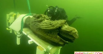 Bí ẩn thủy quái trong "tàu ma hoàng gia" mất tích 5 thế kỷ