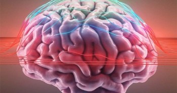 Khoa học tìm thấy tín hiệu lạ trong não người