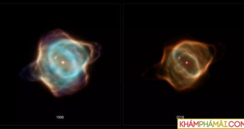 Kính viễn vọng Hubble phát hiện tinh vân "cá đuối" mờ đi bất thường