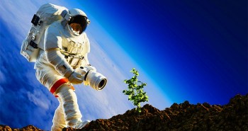 Năm 2026, các phi hành gia sẽ mang cây trồng lên Mặt trăng