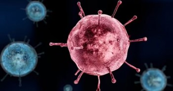 Virus cúm mùa là hậu duệ của "sát thủ" từng giết 100 triệu người?