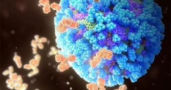 Các nhà khoa học vừa tìm ra bí mật của virus cúm