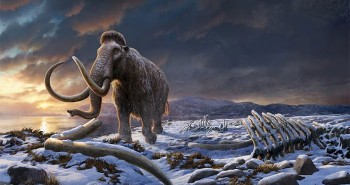 Điều gì làm loài voi ma mút biến mất trên Trái đất?
