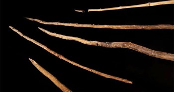 Phát hiện xưởng vũ khí 300.000 năm của loài người khác ở Đức