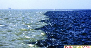 Các "vùng nước chết" khiến đại dương "mắc nghẹn" giờ cũng xuất hiện ngay gần con người