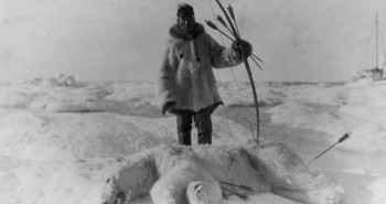 Chuyện kì lạ ở Nam Cực, ăn gan động vật có thể dẫn tới tử vong